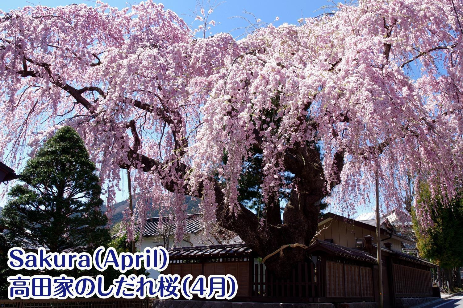 Nikko Stay House Arai - Vacation Stay 14988V Dış mekan fotoğraf
